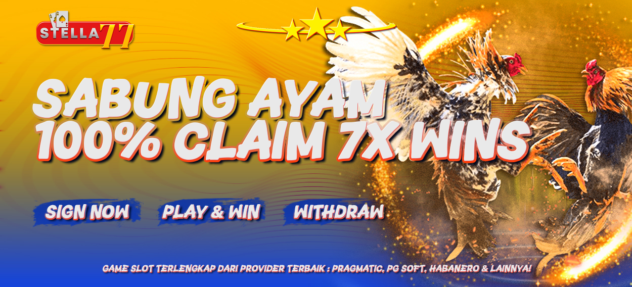 sabung-ayam